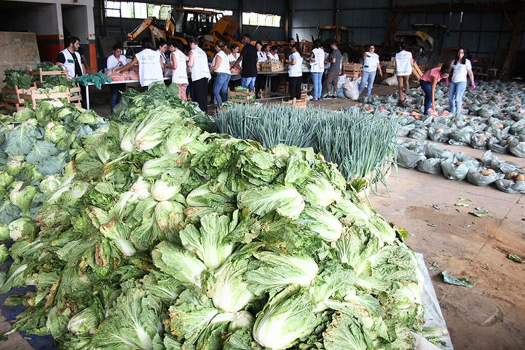 with 242408 Easy Resize.com