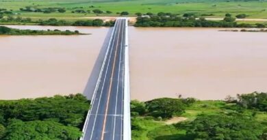 Abandono na estrada da Ponte da Integração expõe descaso do poder público