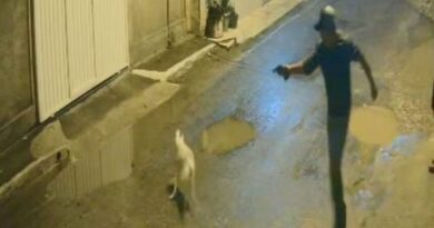 Polícia Civil do Rio prende homem que matou cachorro do vizinho