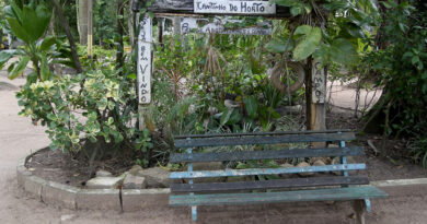 Horto Municipal e Morro do Itaoca vão passar por revitalização