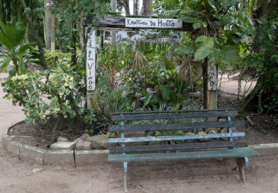 Horto Municipal e Morro do Itaoca vão passar por revitalização