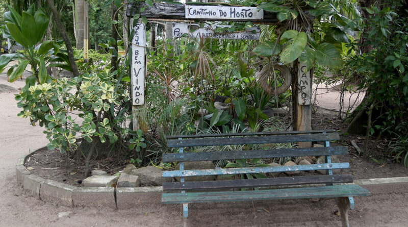 WhatsApp Image 2026 02 08 at 10.28.26