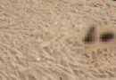 Corpo é encontrado enterrado na Praia do Farol de São Tomé