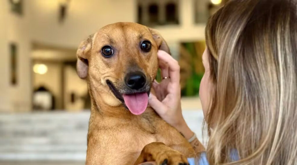 fotojet 51 Easy Resize.com