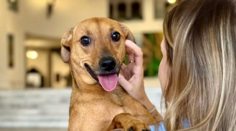 fotojet 51 Easy Resize.com