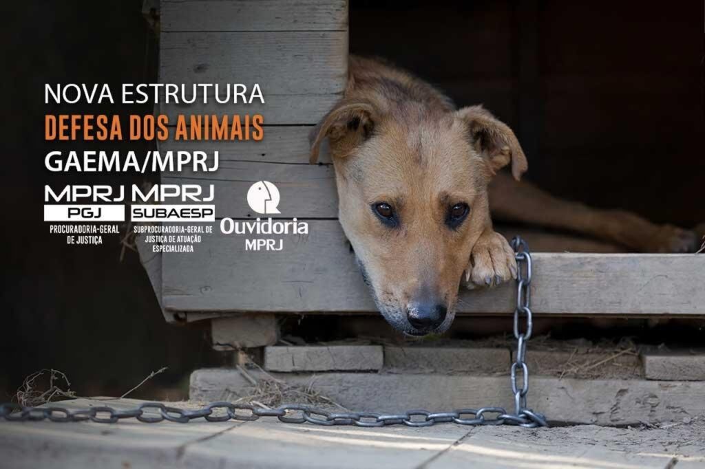 upload 00011362 Easy Resize.com