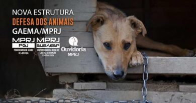 Procurador-geral de Justiça institui Núcleo de Proteção e Defesa dos Animais no âmbito do GAEMA/MPRJ