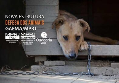 Procurador-geral de Justiça institui Núcleo de Proteção e Defesa dos Animais no âmbito do GAEMA/MPRJ