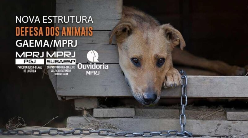 upload 00011362 Easy Resize.com