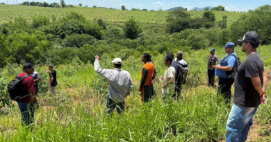 CapacitAgro inicia agende 2026 com oportunidades de qualificação