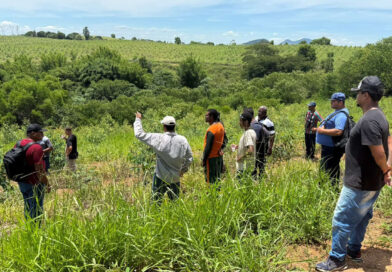 CapacitAgro inicia agende 2026 com oportunidades de qualificação