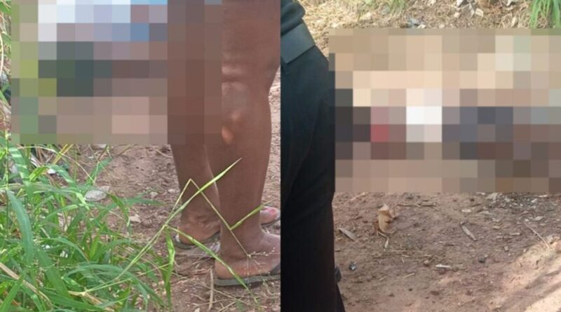 WhatsApp Image 2026 03 27 at 09.35.16 860x860 Easy Resize.com