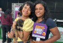 Feira de adoção e vacinação antirrábica do CCZ sábado e domingo no Partage Campos