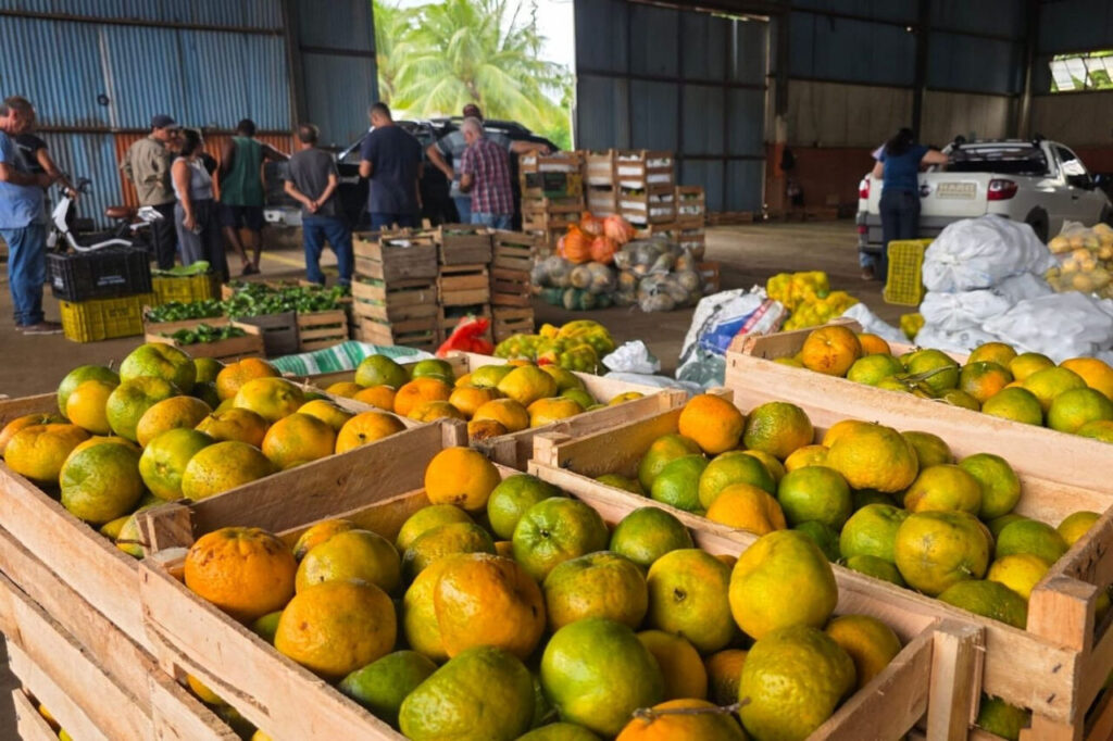 with 244869 Easy Resize.com