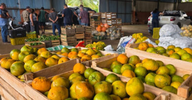 PAA inicia nova etapa com recebimento de alimentos da agricultura familiar