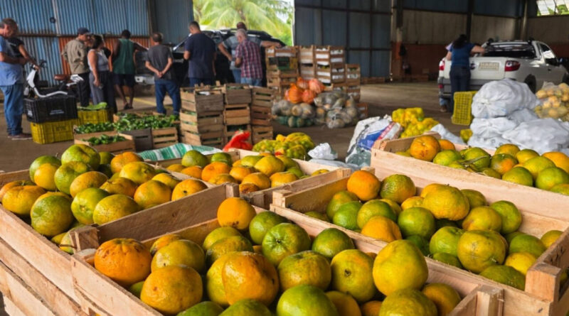 with 244869 Easy Resize.com