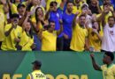 Copa do mundo torcida