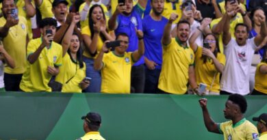 Copa do mundo torcida