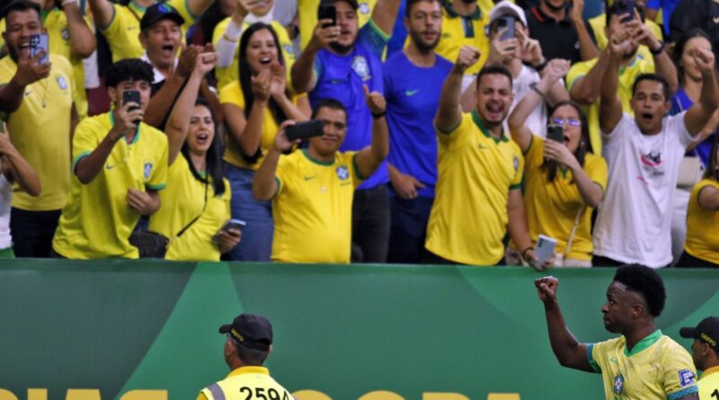 Copa do mundo torcida