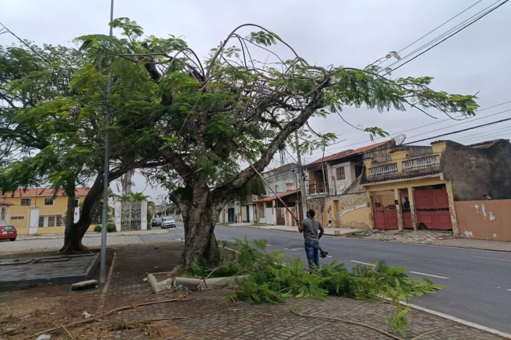Ações de manutenção e revitalização da arborização na Praça Santo Antônio 1 arborização na Praça Santo Antônio