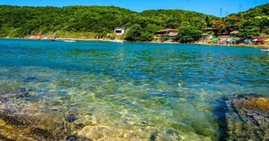 Justiça Federal atende MPF e determina embargo imediato de obras de quiosques na Praia da Tartaruga em Búzios (RJ) Justiça Federal atende MPF e determina embargo imediato de obras de quiosques na Praia da Tartaruga em Búzios (RJ)