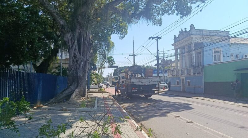 Poda de árvores reforça manutenção e segurança no entorno do Jardim São Benedito 6 result arvores Easy Resize.com